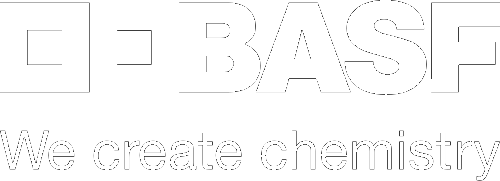 BASF Chemical & Plastics
